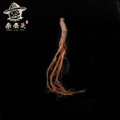 吉林長白山人參紅參切片紅參須泡水東北特產煮湯人參整枝
