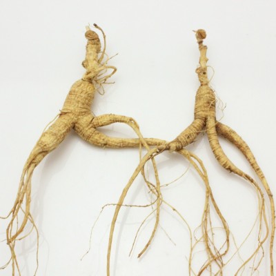 人參 山參散貨 殘支林下參 家里人吃實(shí)惠 山參批發(fā) 滋補(bǔ)品