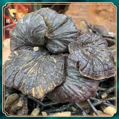 產地批發云南厚肉竹靈芝 深山黑芝東北長白山赤靈芝 散裝泡酒靈芝
