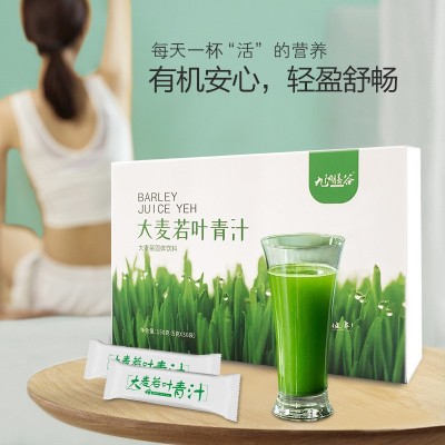 大麥若葉青汁粉 大麥苗粉膳食纖維代餐粉大麥若葉青汁代加工