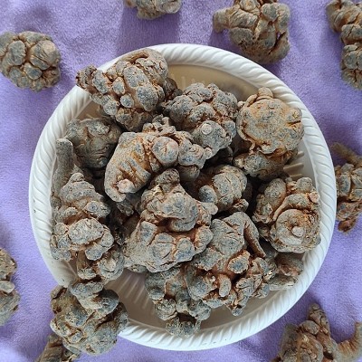 產(chǎn)地貨源 現(xiàn)貨供應(yīng) 三七 三七批發(fā) 藥食同源 三七