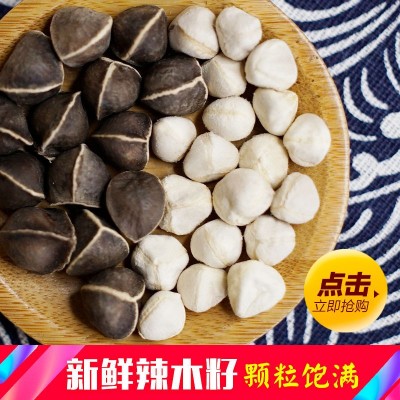 大粒印度進辣木籽100g/1000g老樹辣木子的功效酒肥