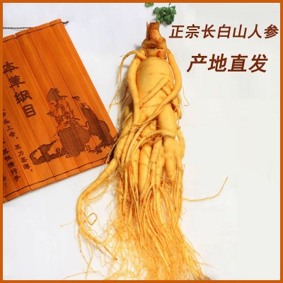人參長白山鮮人參泡酒燉湯足齡保真東北特產(chǎn)保鮮參
