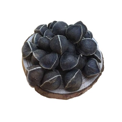 大粒辣木籽印度進辣木子的功效解減酒肥500g100g