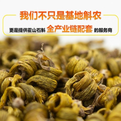 批發石斛霍山米斛楓斗 霍山石斛楓斗龍頭鳳尾 鐵皮石斛霍山米斛