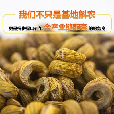 鐵皮石斛 霍山鐵皮石斛批發 石斛楓斗新鮮五年生仿野生鐵皮石斛