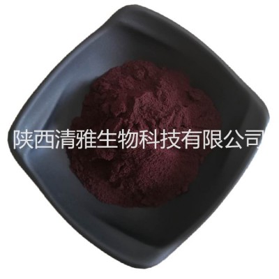 藍(lán)莓花青素 25% 藍(lán)莓/越橘提取物 藍(lán)莓花青素粉100克小樣裝 現(xiàn)貨
