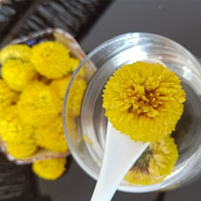 批發(fā)婺源皇菊 菊花茶 黃菊花 黃菊 乒乓球菊 球菊花茶