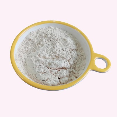 食品級素食蛋白粉 低過敏蛋白粉 大米蛋白粉85%