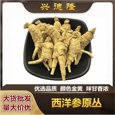加拿大西洋參原叢 短枝參段花旗參原株粒頭整枝可代切片雄春老店