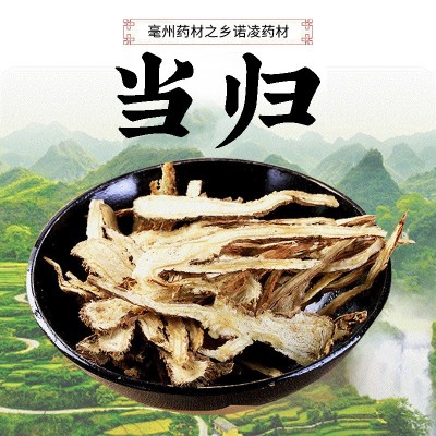 當歸片散裝甘肅岷縣產地 全干新貨當歸全片批發 無雜當歸頭片