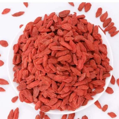 新貨寧夏中寧170粒紅枸杞茶貢果免洗大粒紅枸杞子花果茶產(chǎn)地直銷
