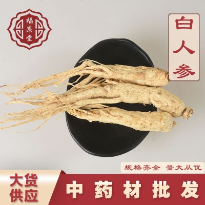 中藥材批發白人參零售新貨不硫初級農產品產地貨源量大從優可代發