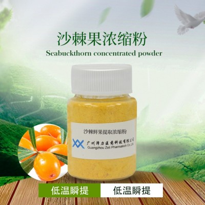 鄉本鄉草 沙棘維生素王E/A水果藥食同源全成分提取沙棘粉植物飲料
