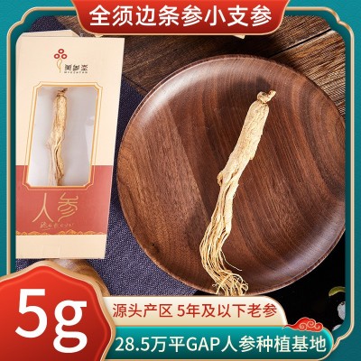 東北干人參林地參長(zhǎng)白山5年生曬人參5g全須邊條參人參禮盒裝