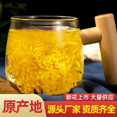 菊花茶金絲皇菊一朵一杯江西修水大黃菊花貢菊小袋散裝批發(fā)