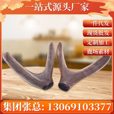 鹿茸 吉林梅花鹿茸二杠整支 長龍鹿業鹿場批發 一件代發 泡酒泡湯
