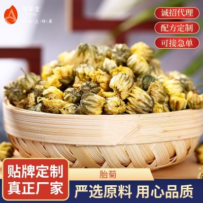 胎草堂胎菊花茶 罐裝菊花骨朵干花泡茶花果茶胎菊花茶 廠家批發