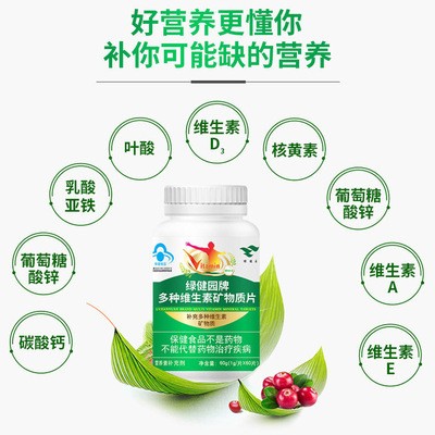 綠健園多種B族維生素片 營養素補充劑復合礦物質片含葉酸正品促銷