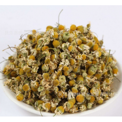 洋甘菊花果茶批發羅馬洋甘菊茶德國洋甘菊 500克起批菊花茶