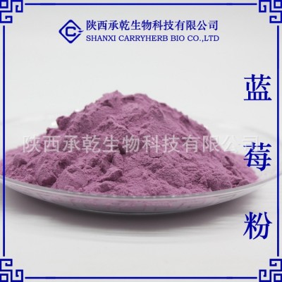 藍莓粉 99% 藍莓汁粉 藍莓果粉 藍莓提取物 口感好 現貨包郵