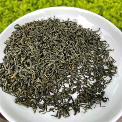 綠茶2022新茶 春茶 綠茶 碧螺春 高山云霧綠茶 香茶散茶低價批發