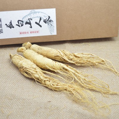 長(zhǎng)白山整枝原皮生曬參白參 無(wú)添加干參東北人參 吉林撫松產(chǎn)地批發(fā)