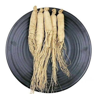 長白山人參 生曬參 全須白參 原皮參白參 20-25大枝頭