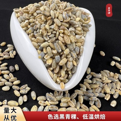 批發黑青稞、熟黑青稞、青稞粉、低溫烘焙熟黑青稞