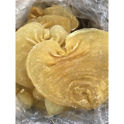 魚膠(白鯊赤嘴膠，規格每只0.6斤左右）