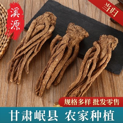 甘肅岷縣當(dāng)歸 岷縣特產(chǎn)藥材批發(fā)全當(dāng)歸條5支 整根當(dāng)歸當(dāng)歸片