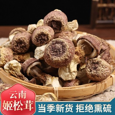 姬松茸云南姬松茸當季新貨姬松茸菌巴西菇食用蘑菇松茸菌批發代發