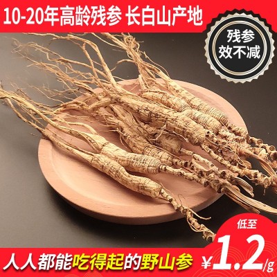 長白山人參 林下參15年老殘參 東北特產(chǎn)人參 林下參籽貨實惠