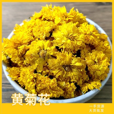 批發黃山休寧黃貢菊散裝黃菊花菊花茶一手貨源