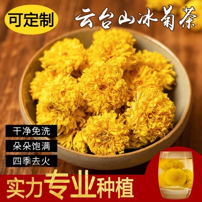 菊花冰菊馳菊花茶懷菊花韻級(jí)河南游念焦作特云臺(tái)山露批發(fā)靈青