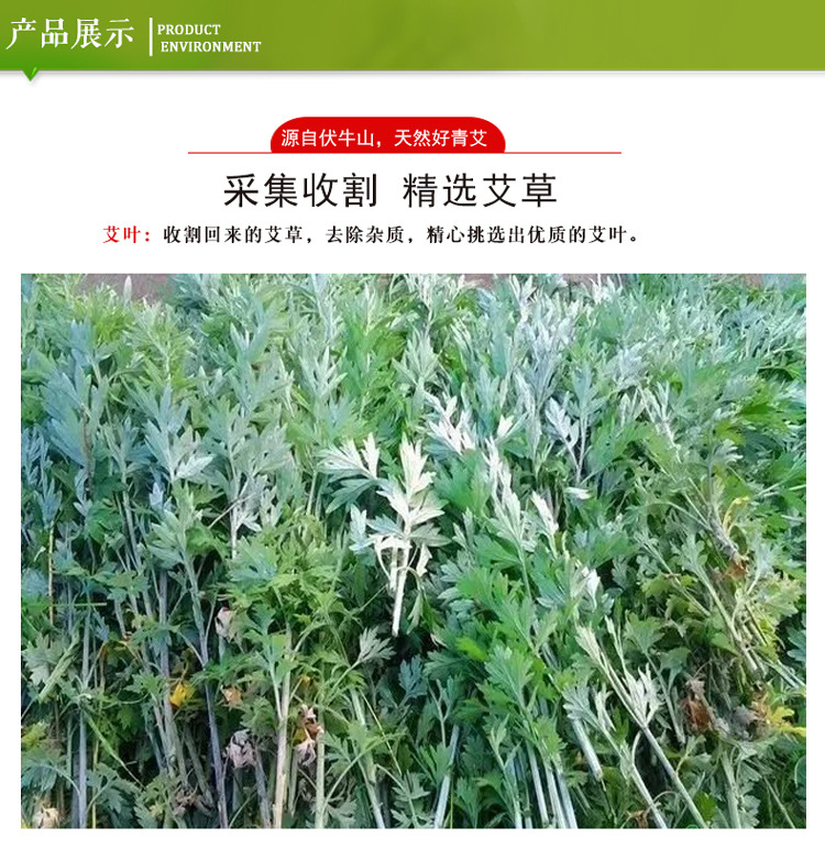 詳情5.jpg