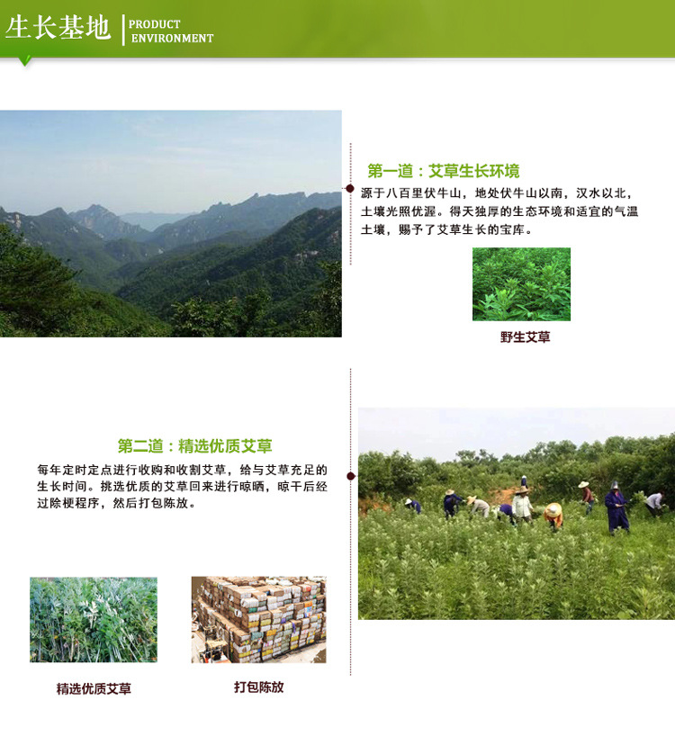 詳情4.jpg