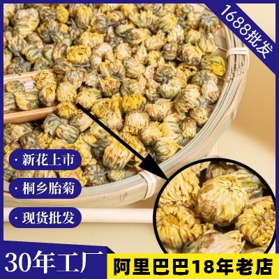 桐鄉(xiāng)錢林菊廠 散裝胎菊批發(fā) 菊花茶產(chǎn)地杭菊新貨花果茶500g非貢菊