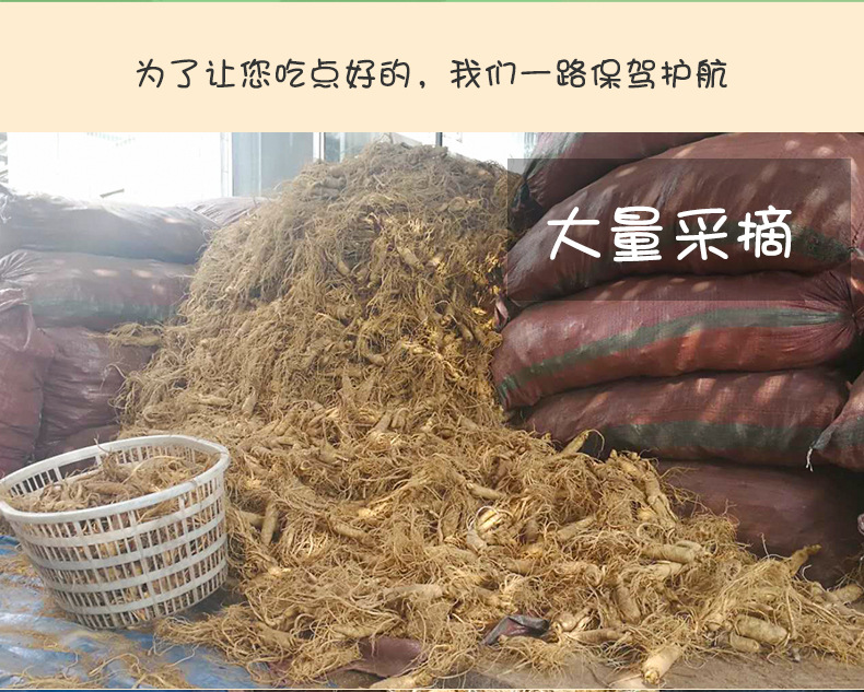產白山白參_12.jpg