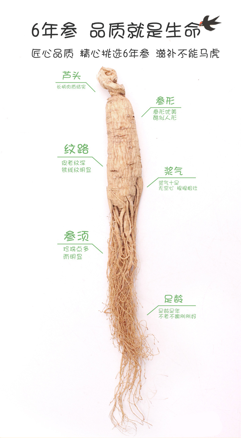 產白山白參_04.jpg