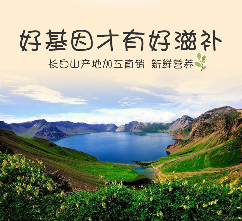 產白山白參_05.jpg