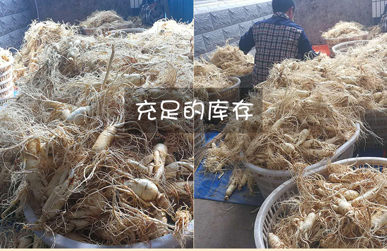 產白山白參_14.jpg