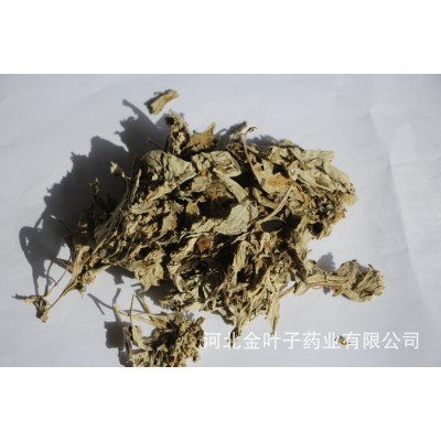 金葉子中藥材 艾葉 貨源充足 檢測合格