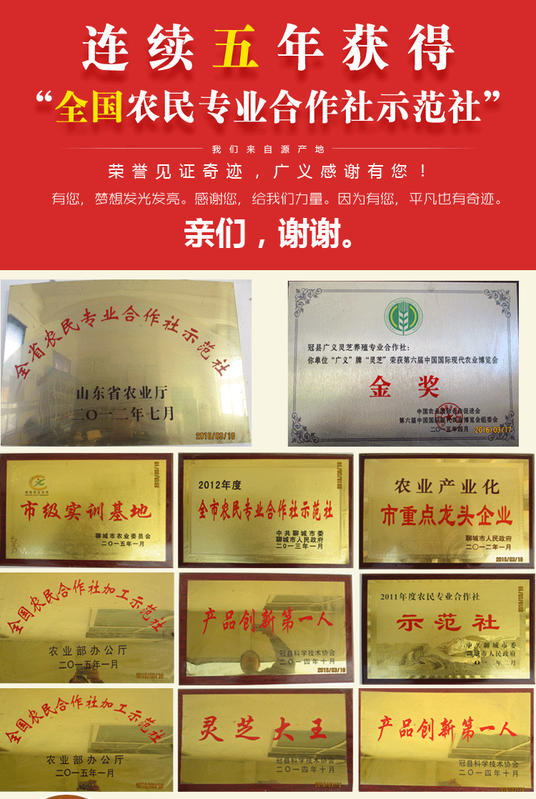 廣義靈芝_14