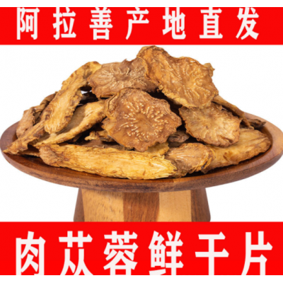漠緣廠家直銷內蒙古鎖陽阿拉善肉蓯蓉秋冬季肉蓯蓉片批發零售