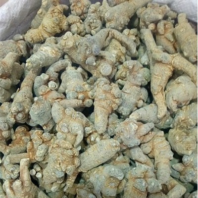 批發(fā)中藥材云南文山三七 三七花 田七 三七粉