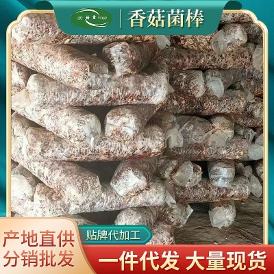 批發食用菌棒菌 包香菇家庭室內種植 陽臺云和山珍菌包蘑菇種菌棒