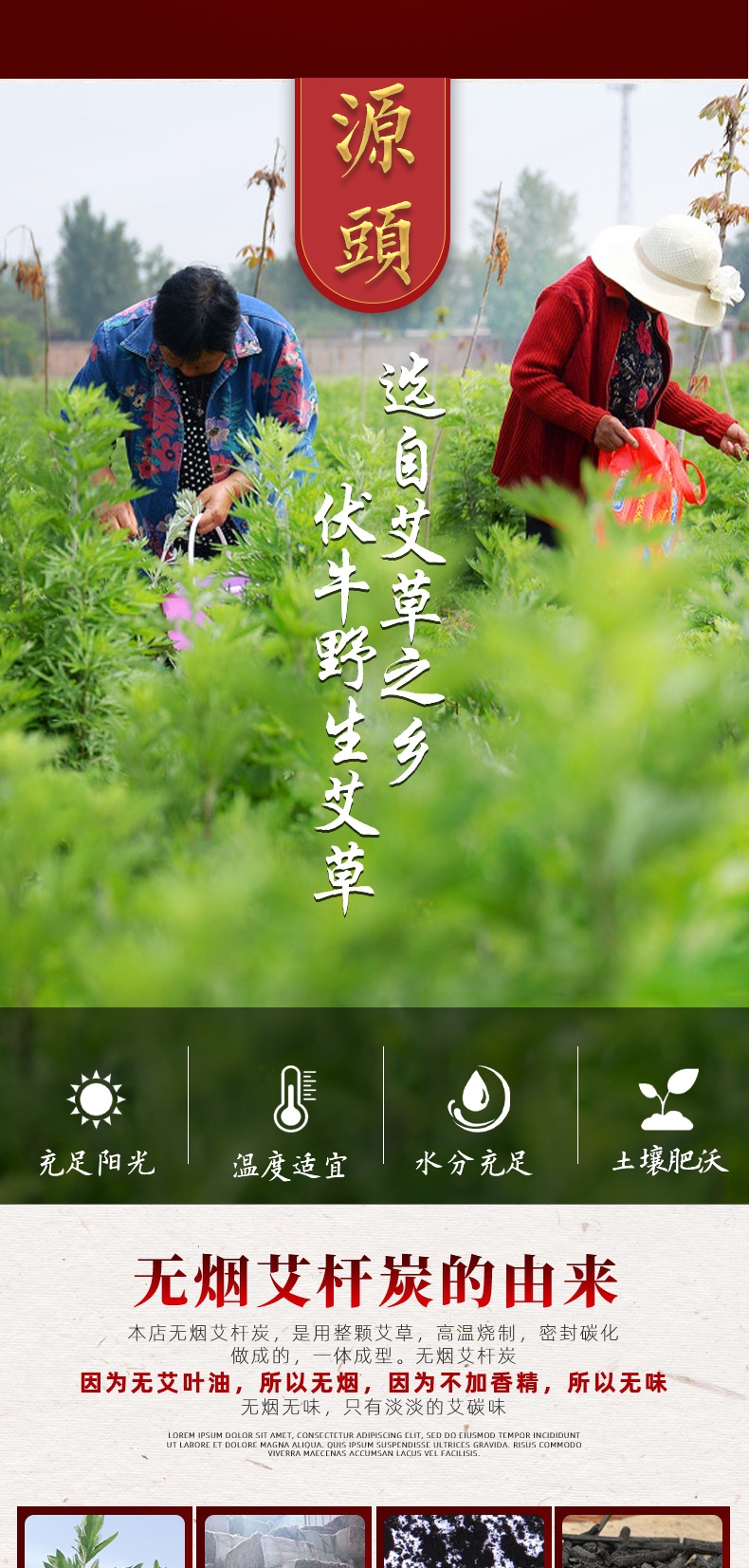 艾桿碳