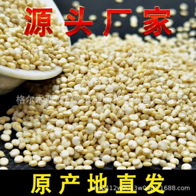 青藜 青海 黑紅白三色藜麥 白色藜麥 青藏高原藜麥 雜糧粗糧