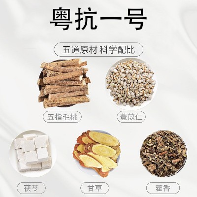 粵抗一號二號涼茶中藥材店炙蒼術火薏苡仁五指毛桃甘草藿香茯苓炙